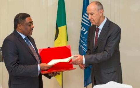 馬德里商標制度在非洲的運行情況