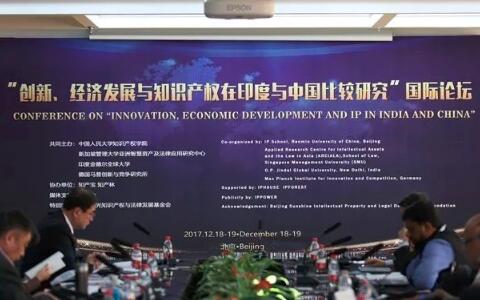 印度知識產權保護途徑、實踐