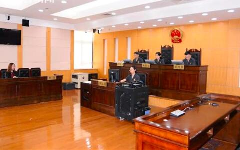 專利侵權當中的懲罰性賠償制度