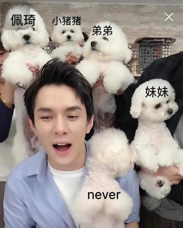 李佳琦Oh my god,買它買它 聲音商標申請為什么被駁回?